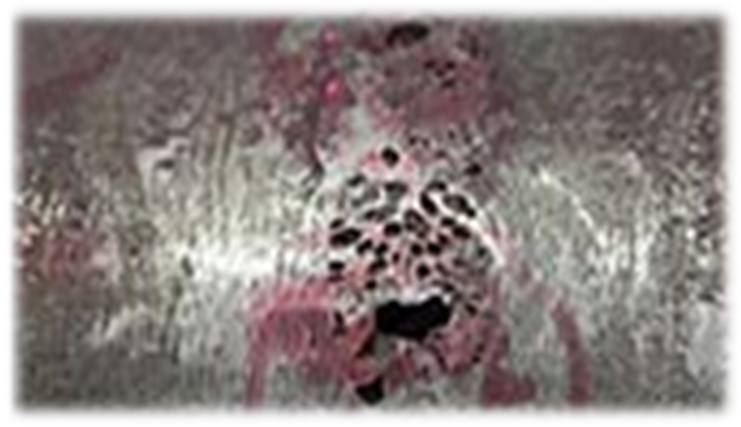0401dx58-1ef1-741x427.png