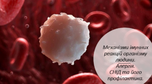 Механізми імунних реакцій організму людини. Алергія. СНІД та його профілактика.