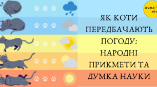 Тема: Народні методи визначення погоди.