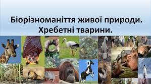 Практична робота: Визначення особливостей зовнішньої будови хребетних тварин у зв'язку з пристосуванням до різних умов існування