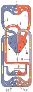 0401dyvy-ba62-109x303.jpg