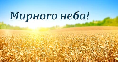 0401e0zm-3e3c-497x261.jpg
