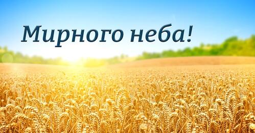 0401e35x-1e80-499x262.jpg