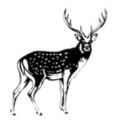 0401e3oz-a755-169x177.png