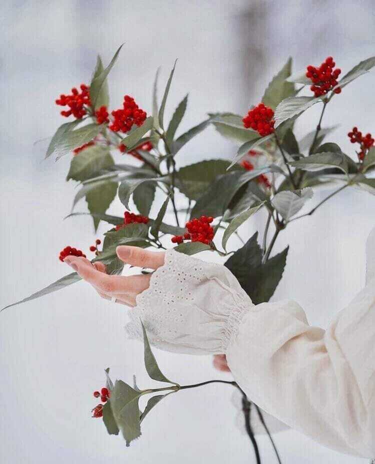 Возможно, это изображение цветок