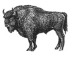 0401e56u-cc48-166x121.png