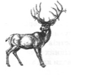 0401e57d-6e01-203x160.png