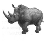 0401e57l-76d7-173x144.png