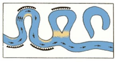 0401e84e-cfad-396x212.png