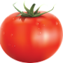 https://fs04.vseosvita.ua/0401e8l2-a7cf-90x90.png