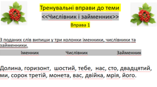 Тренувальні вправи до теми <<Чисельник і займенник>>