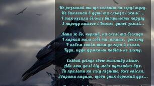 Не каркай, вороне,...чого ти кручеш?
