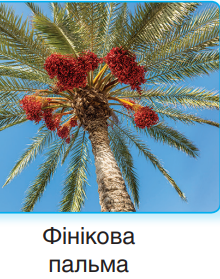 0401e9ec-0ee3-220x279.png