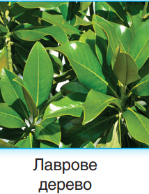 0401e9ed-c9ff-214x278.png