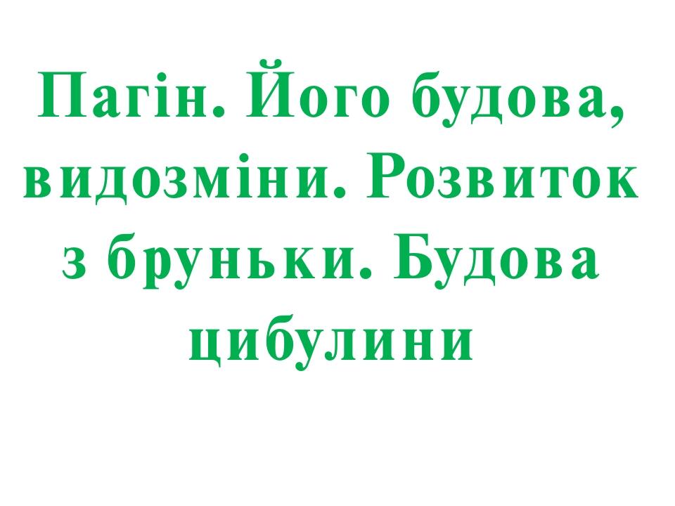 Пагін. Його будова, видозміни. Розвиток з бруньки. Будова цибулини