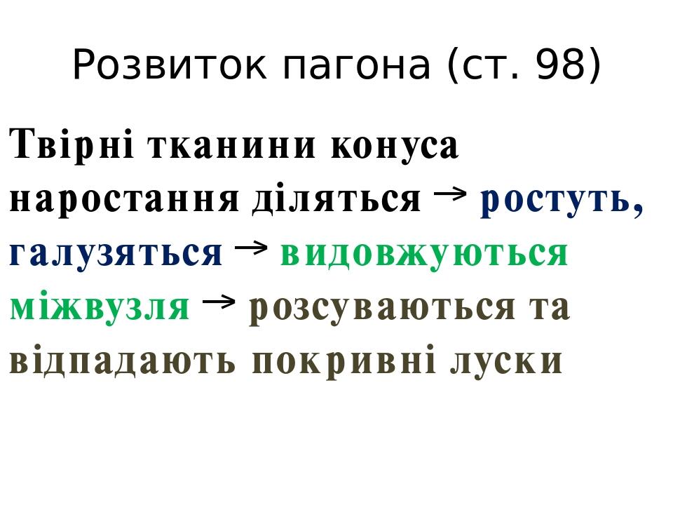 Розвиток пагона (ст. 98) Твірні тканини конуса наростання діляться → ростуть, галузяться → видовжуються міжвузля → розсуваються та відпадають покри...