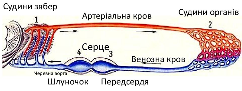 0401ebhh-d66c-801x304.png