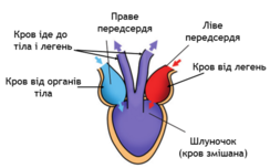 0401ebig-6bad-244x152.png