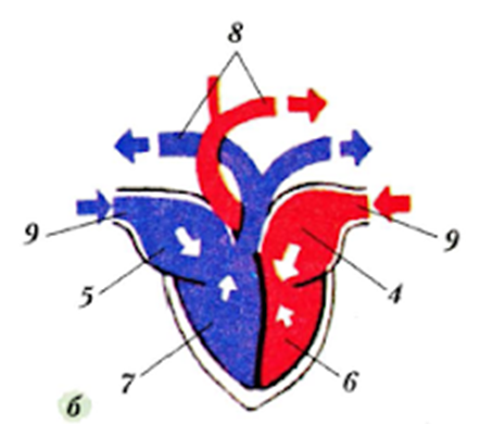 0401ebk3-cdf1-454x391.png