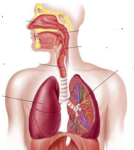 0401ebw1-1b8d-194x218.png