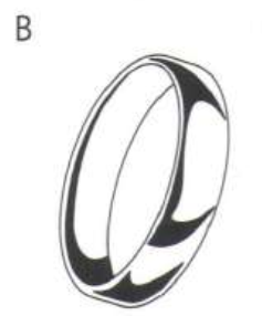 0401ecay-f3d7-237x286.png