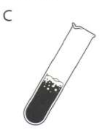 0401eccr-6be1-207x265.png