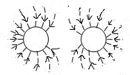 0401ed35-7803-187x108.png