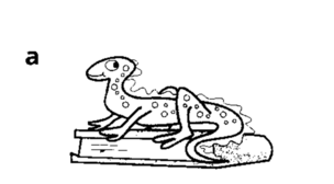 0401edzp-f658-304x168.png
