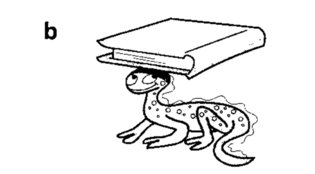 0401edzx-f30f-315x174.png