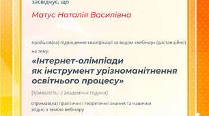 Підсумковий урок за романом  Е.Золя "Кар'єра Ругонів". Презентація