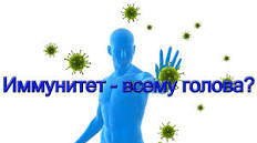 Імунна система та імунітет.