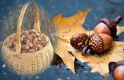 0401efp9-09d4-318x209.jpg
