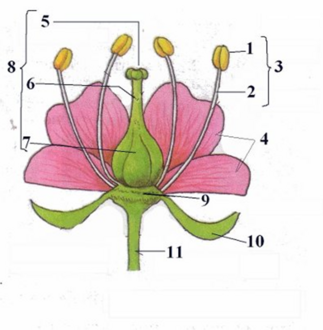 0401ekb1-eb63-323x330.png
