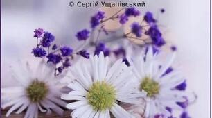 Життя — як книга, аркуші — роки...