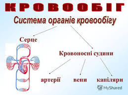 Природознавство ( 3 клас ) №14