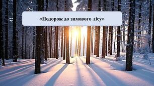 Презентація на тему: "Подорож до зимового лісу"