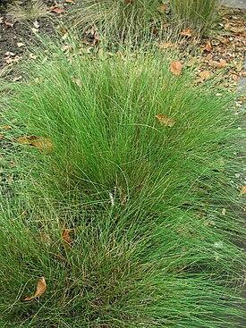 0401eutl-f082-275x367.jpg