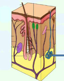 0401euvm-e4d6-206x260.png