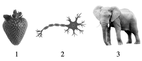 0401evn5-efa3-499x215.png