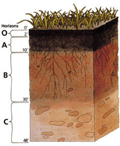 0401ewg2-46e2-236x288.jpg