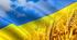 Розтяжка до Дня єднання ,,День єдності України''