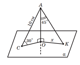 0401ewx7-9776-278x228.png