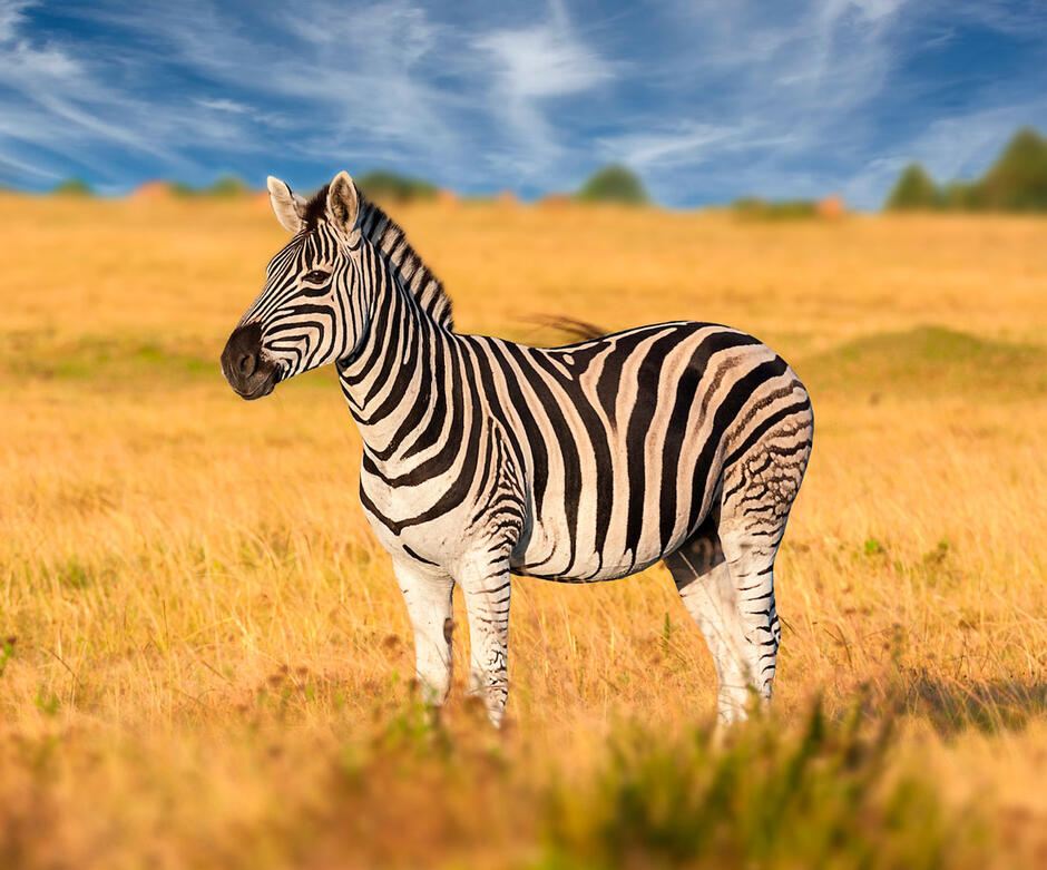 0401exhx-0571-940x781.jpg