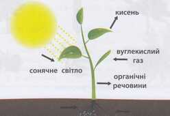 0401eyf9-fc58-248x170.jpg
