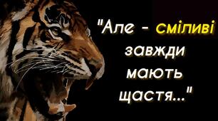 РМ №3. Написання есе за темою«Сміливі завжди мають щастя» (за романом І.Багряного "Тигролови")