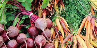 Тема 10. Коренеплоди | Agromage.com