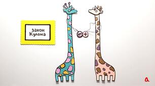Закон Кулона