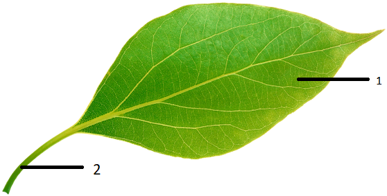 0401f0s2-addb-558x283.png