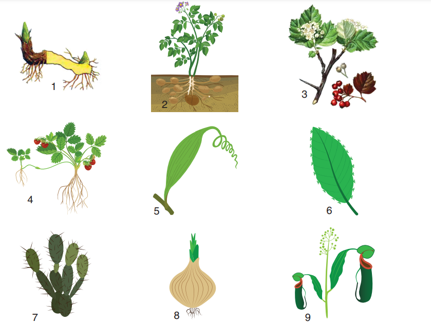 0401f159-04f8-839x628.png