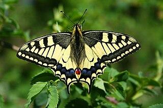 0401f1pj-2ac4-320x213.jpg